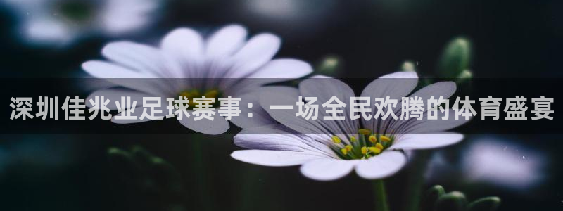  深圳佳兆业足球赛事：一场全民欢腾的体育盛宴