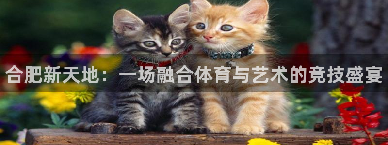  合肥新天地：一场融合体育与艺术的竞技盛宴