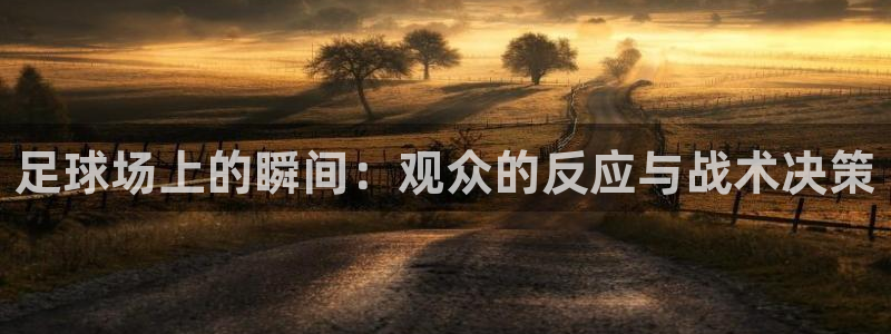  足球场上的瞬间：观众的反应与战术决策