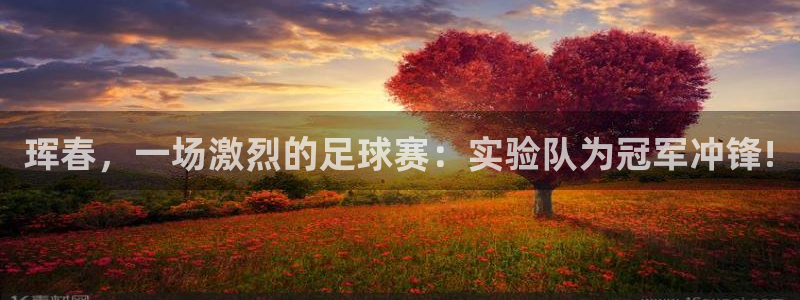  珲春，一场激烈的足球赛：实验队为冠军冲锋!