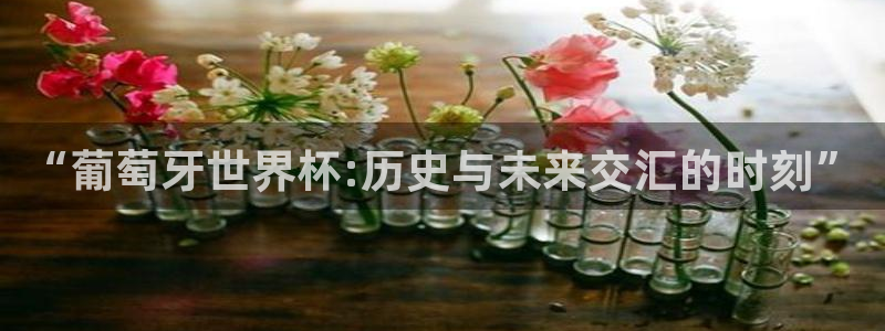  “葡萄牙世界杯:历史与未来交汇的时刻”