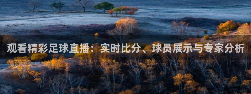 观看精彩足球直播：实时比分、球员展示与专家分析