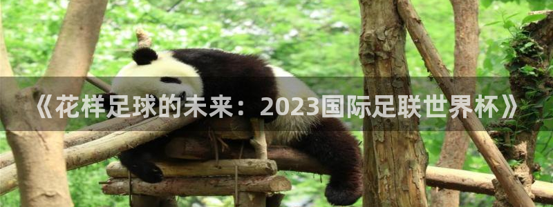 《花样足球的未来：2023国际足联世