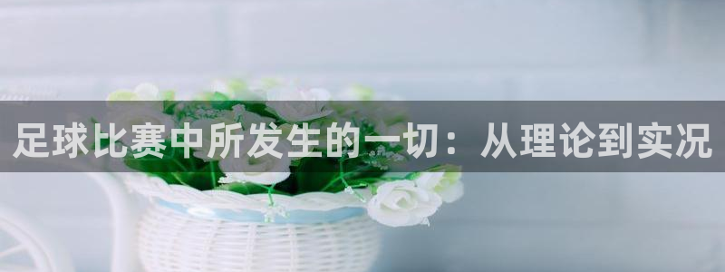 足球比赛中所发生的一切：从理论到实况
