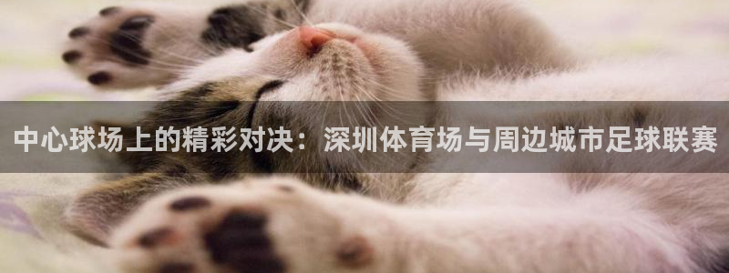  中心球场上的精彩对决：深圳体育场与周边城市足球联赛