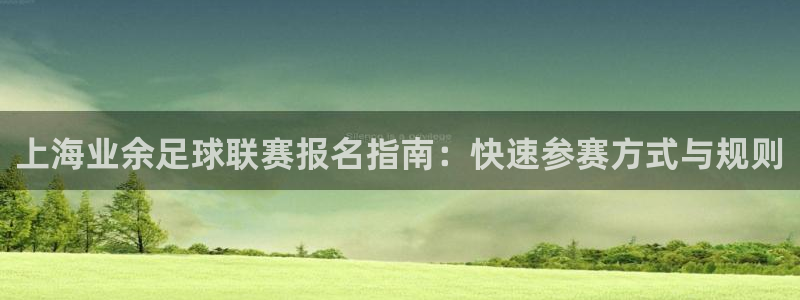 上海业余足球联赛报名指南：快速参赛方式与规则