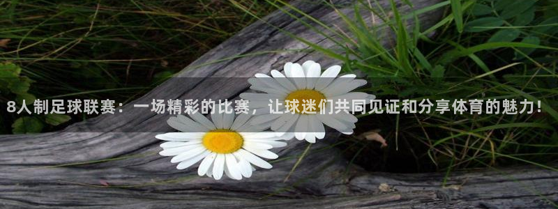  8人制足球联赛：一场精彩的比赛，让球迷们共同见证和分享体育的