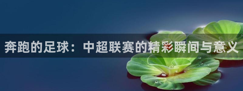 奔跑的足球：中超联赛的精彩瞬间与意义