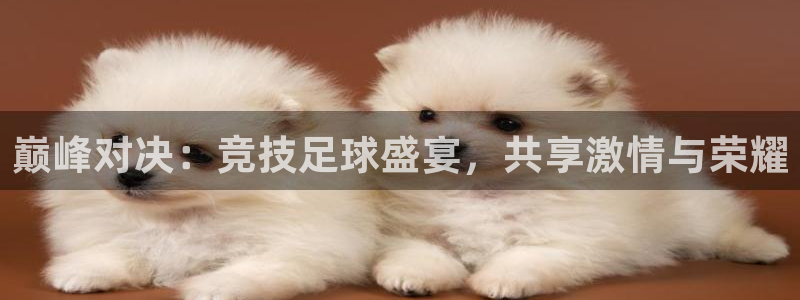  巅峰对决：竞技足球盛宴，共享激情与荣耀