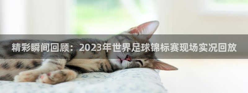 精彩瞬间回顾：2023年世界足球锦标赛现场实况回放