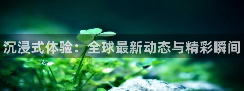 新闻图片