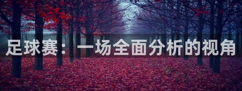 足球赛：一场全面分析的视角