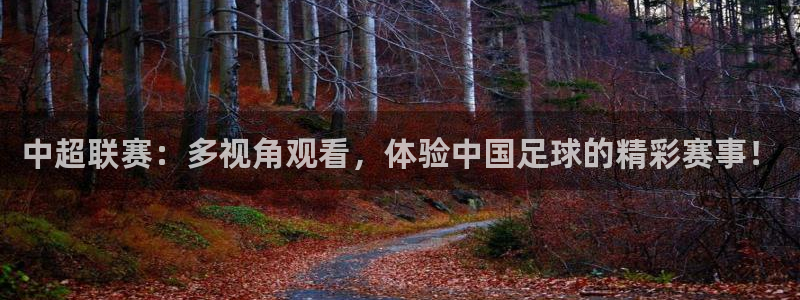中超联赛：多视角观看，体验中国足球的