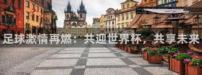 足球激情再燃：共迎世界杯，共享未来