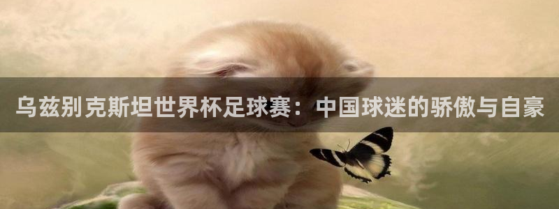 乌兹别克斯坦世界杯足球赛：中国球迷的