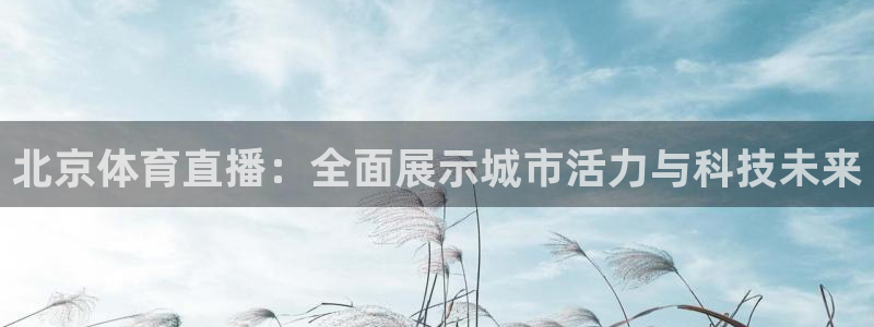 球神直播：北京体育直播：全面展示城市活力与科技未来