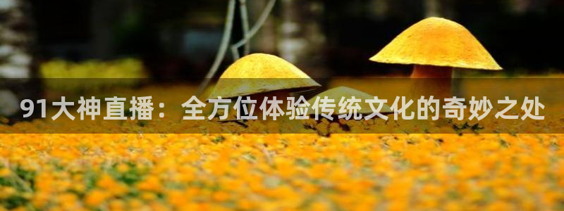 cba直播球神直播：91大神直播：全方位体验传统文化的奇妙之处