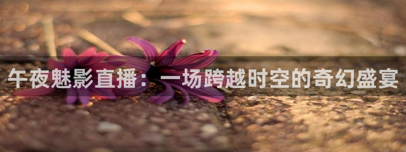 球神 直播：午夜魅影直播：一场跨越时空的奇幻盛宴
