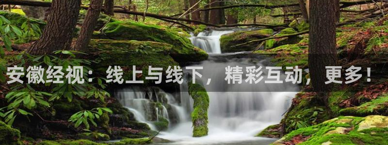 qszb球神直播：安徽经视：线上与线下，精彩互动，更多！
