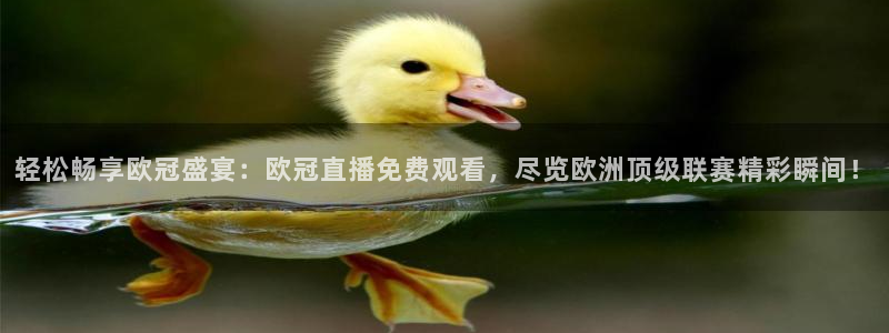 球神直播在线直播免费观看：轻松畅享欧冠盛宴：欧冠直播免费观看，尽览欧洲顶级联赛精彩瞬间！